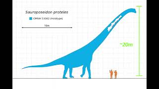 Sauroposeidon the tallest dinosaur ever [upl. by Reisman]