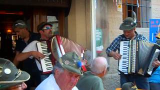 ADUNATA ALPINI 2014 PORDENONE [upl. by Ettebab111]