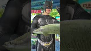 butman funnyvideo🤣🤣🤣2024part28batman comedia comedy memes sigma laugh shorts [upl. by Aneekal]