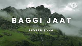 BAGGI JAAT REVERB song [upl. by Leesen146]