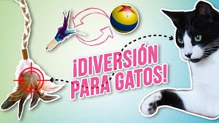 Cómo JUGAR con tu GATO 😺🙌  TRUCOS para que se enamore de sus JUGUETES 👾😻 [upl. by Aika]