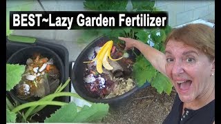 GROW Compost amp Fertilize in the Vegetable Garden Composting in PLACE [upl. by Farver]