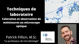 MOISISSURES AU MICROSCOPE Coloration et observation [upl. by Assirehs]