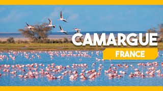 CAMARGUE FRANCE [upl. by Vel]