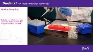 Duolink® PLA from MilliporeSigma [upl. by Komsa]