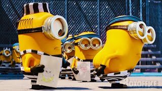 Despicable Me Funniest Scenes with Minions ⚡ 4K [upl. by Sadye]