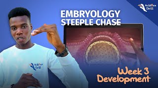 3RD WEEK OF DEVELOPMENT EMBRYOLOGY STEEPLECHASE QUESTIONS [upl. by Launamme788]