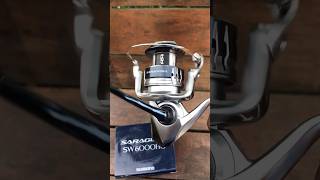 REEL SHIMANO SARAGOSA SW 6000 HG [upl. by Redyr350]