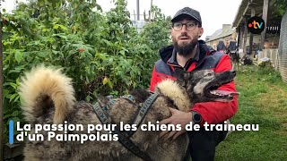 La passion pour les chiens de traineau dun Paimpolais [upl. by Prior]