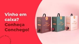 O JEITO MAIS ECONÔMICO DE COMPRAR VINHO CONHEÇA O VINHO O VINHO EM CAIXA CONCHEGO [upl. by Ahseyt]