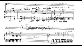 Nikolai RimskyKorsakov  Paraphrase on Scheherazade for Bassoon and Piano 1888 ScoreVideo [upl. by Retla930]