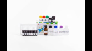 YR2SC0106 Furazolidone Metabolite AOZ ELISA Test Kit [upl. by Beckman]