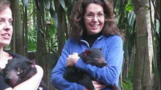 Tasmanian Devils Cuddle And Play With Visitors At The Australia Zoo [upl. by Nesbitt]