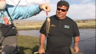 Dan Hernandez River Fishing for Trout [upl. by Nwahsat]