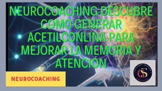 Neurocoaching descubre como la acetilconlina para mejorar la memoria y atencion [upl. by Eenahpets]