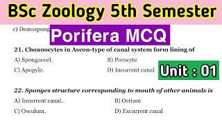 Porifera MCQ  BSc 3rd Year Zoology  Unit 1  5th Semester [upl. by Tse]