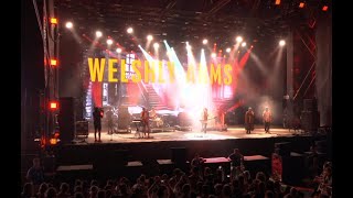 Welshly Arms LIVE Performance Sziget Festival  Budapest FULL SET StaySafe [upl. by Helaine885]