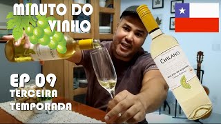 MINUTO DO VINHO  Vinho Branco Chilano Moscatel CHI  Temp 3 Ep 9 [upl. by Tandy]