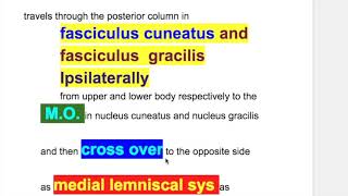 Astereognosis stereognosis two point discrimination graphesthesia Dejerine–Roussy syndrome [upl. by Yrellih]