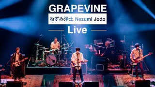 GRAPEVINE  ねずみ浄土 Live at Zepp DiverCity 20210708 [upl. by Nave]