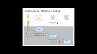 Herbicide effects on soil biology and function [upl. by Booma]