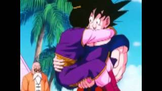 Momentos graciosos de Dragon ball Z [upl. by Angeline63]