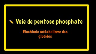 Voie de pentose phosphate VPP Biochimie [upl. by Ralyks28]