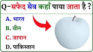 GK Question  GK In Hindi  GK Question and Answer  GK Quiz [upl. by Nakashima]