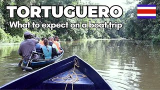 Costa Ricas Amazon Experience Tortuguero Wildlife Boat Tour [upl. by Thurman529]