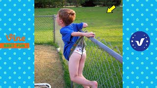 Best FUNNY Videos 2022 ● TOP People doing funny stupid things Part 31 [upl. by Sisely842]