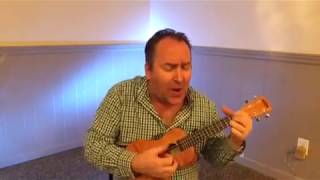 Nearly Forgot My Broken Heart Chris CornellDuff Ukulele Cover CS6 11122016 [upl. by Anaeli130]