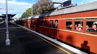 Sydney Trains Panania Station [upl. by Nilyarg771]