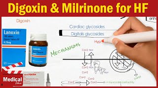 Pharmacology CVS 12 Heart Failure Treatment Part 2 Digoxin  Dobutamine  Dopamine  Milrinone [upl. by Donelle]