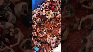 La Tomatina Festival 🇪🇸  Auf Gehts Deutschland oktoberfest ytshorts tomatina musik [upl. by Ailesor]