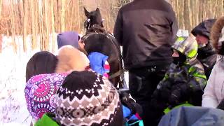 Winter Horse Sleigh ride  Mountsberg Conservation Area  near Campbellville Ontario [upl. by Astraea]