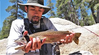 Trout Fishing the Sierras in California Day Two Catch and Cook and Camp [upl. by Myrtia33]