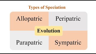 Types of Speciation [upl. by Annayrb]