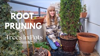 Root Pruning Container Grown Trees [upl. by Sherlocke154]