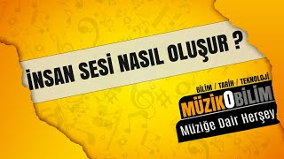 Müzikobilim  İnsan Sesi Nasıl Oluşur [upl. by Harv]