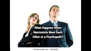 What Happens When Narcissists Meet Each Other or a Psychopath [upl. by Christos]