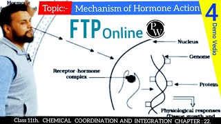 Mechanism of Hormone action 11th Zoology NEET PWNEETWallah UANeetToppersneet [upl. by Boggs628]