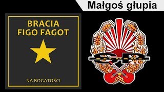 BRACIA FIGO FAGOT  Małgoś głupia OFFICIAL AUDIO [upl. by Jeffie]