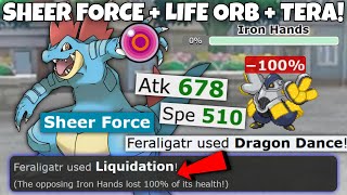 SHEER FORCE FERALIGATR is the ULTIMATE WALLBREAKER in Pokemon Scarlet and Violet [upl. by Hannahsohs798]