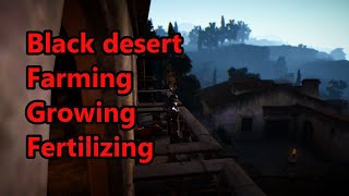 Black Desert Farming Growing Fertilizing Guide  EU Server [upl. by Latricia]