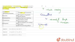 Match the phytohormones given in column I with their functions given in column II Choose the an [upl. by Sydelle]