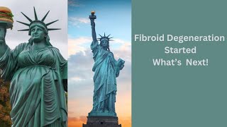 What Happens When Uterine Fibroid Degeneration Starts [upl. by Ronnica]