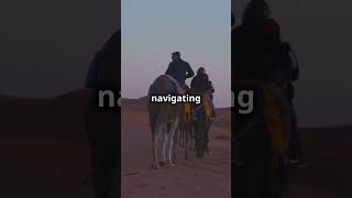 Discover the Tuareg Nomads of the Sahara  Arcane World Adventure [upl. by Anuahsar258]