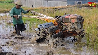 Traktor Sawah Garap Lahan Bekas Padi Kondisi Air Terlalu Banyak [upl. by Inaluiak]