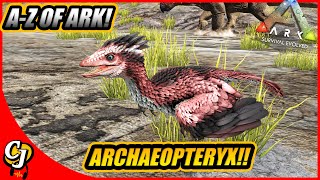 AZ Of Ark The ARCHAEOPTERYX The Best Parachute And Sap Collector  Ark Survival Evolved [upl. by Avitzur823]