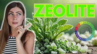 Zeolite Health Benefits Heavy Metal Detox Weight Loss amp More [upl. by Sydalg]